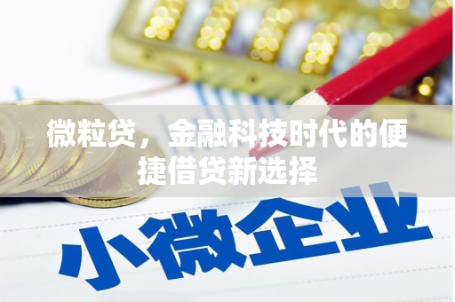 雷山微粒贷，金融科技时代的便捷借贷新选择