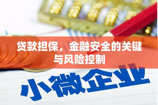 雷山贷款担保，金融安全的关键与风险控制