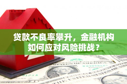 雷山贷款不良率攀升，金融机构如何应对风险挑战？