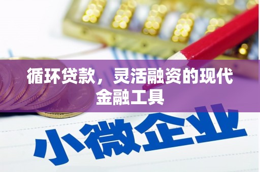 雷山循环贷款，灵活融资的现代金融工具