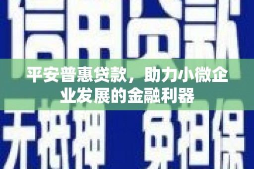 雷山平安普惠贷款，助力小微企业发展的金融利器